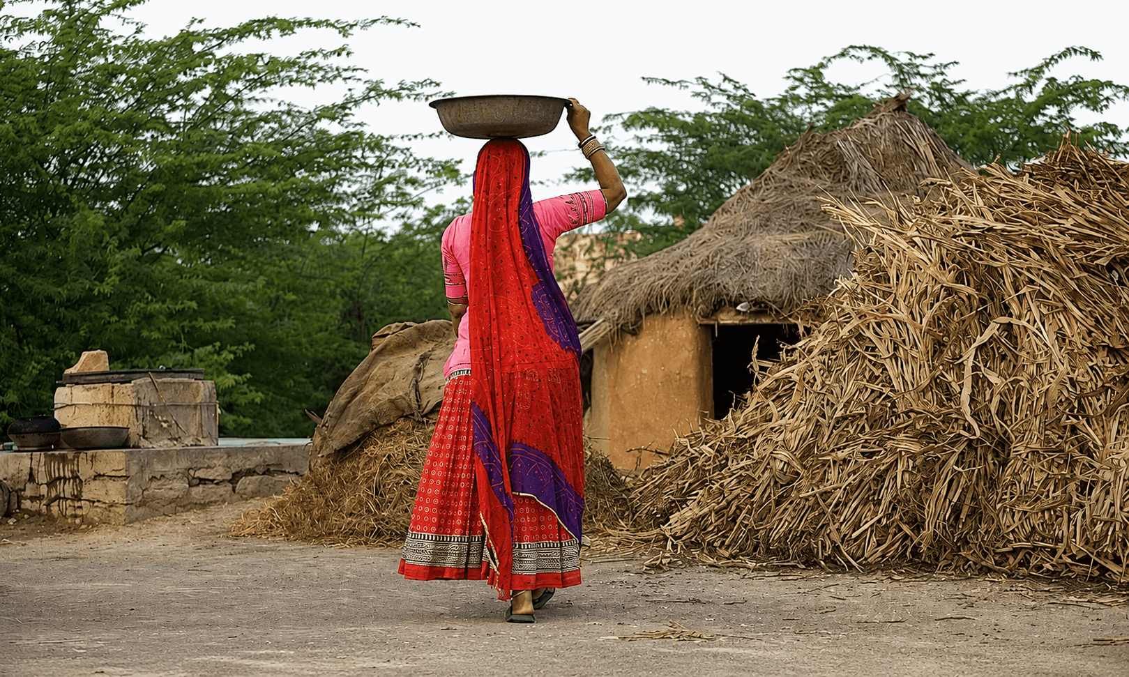 Bishnoi Village Excursion — Jodhpur